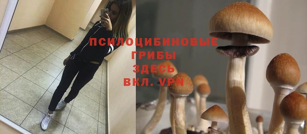ECSTASY Волосово