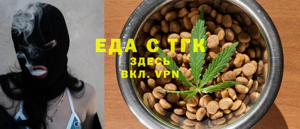 молекула духа Протвино